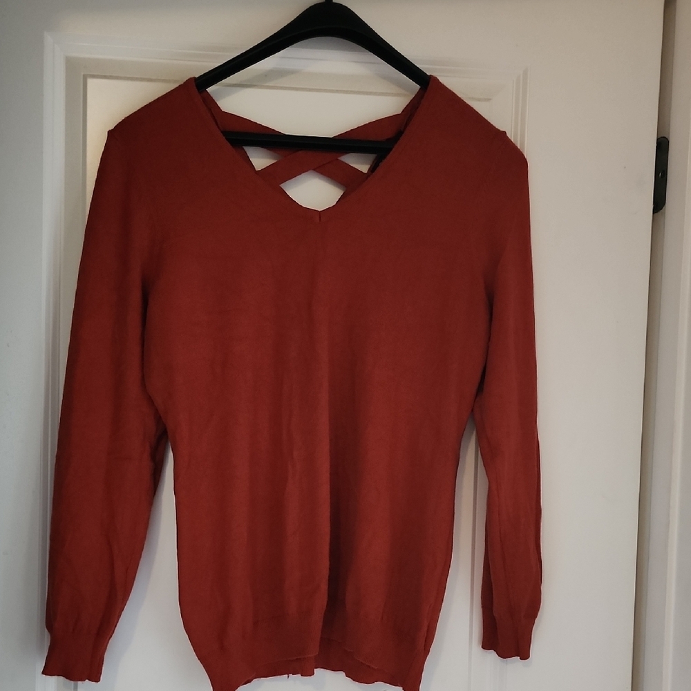 Love Ellie (Stitch Fix) Rust V-Neck Sweater with Crisscross Back
